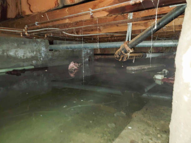 Best 24/7 water damage repair  in Graham, WA