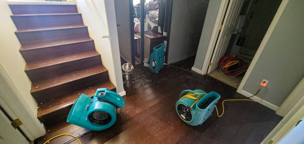 Best Sewage cleanup and water damage restoration  in Graham, WA