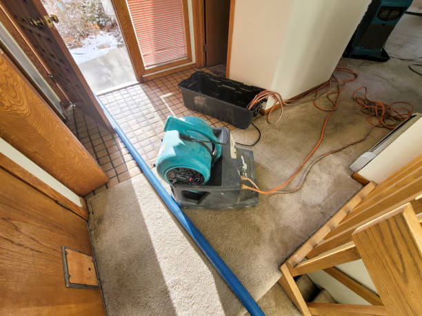 Best Residential water damage restoration  in Graham, WA