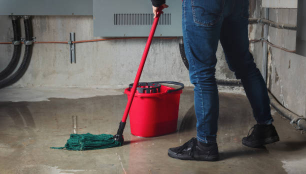 Best Fire Damage Restoration  in Graham, WA