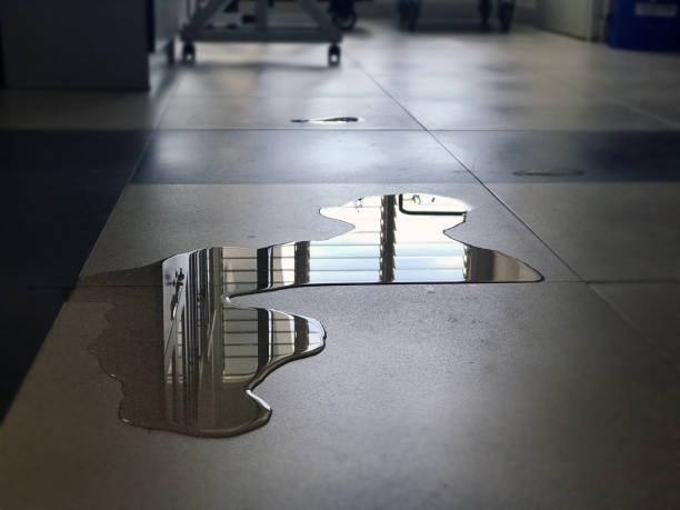 Best Water damage contractors near me  in Graham, WA