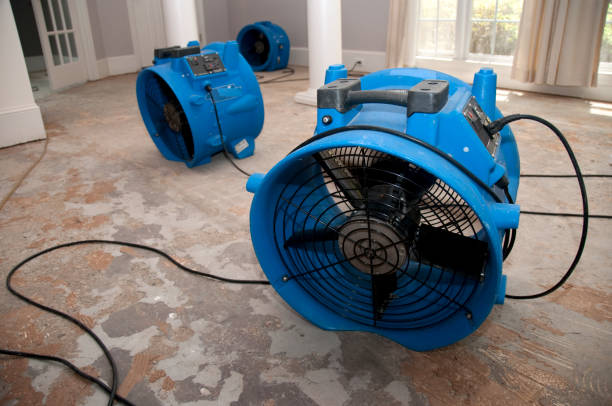 Best Commercial water damage restoration  in Graham, WA