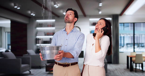 Best Professional water damage repair  in Graham, WA