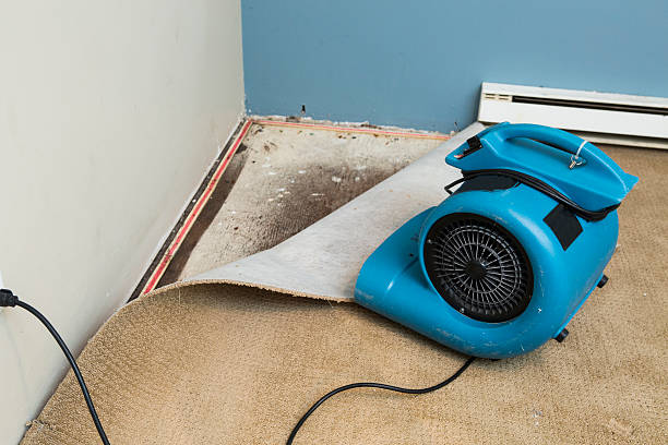 Best Water damage restoration near me  in Graham, WA